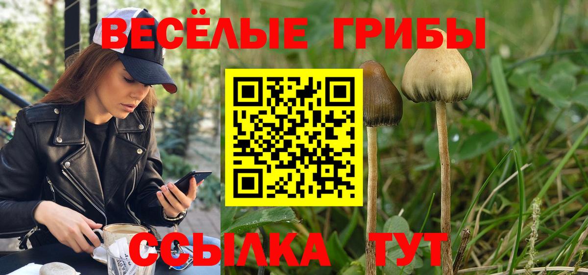 Галлюциногенные грибы Psilocybine cubensis Добрянка