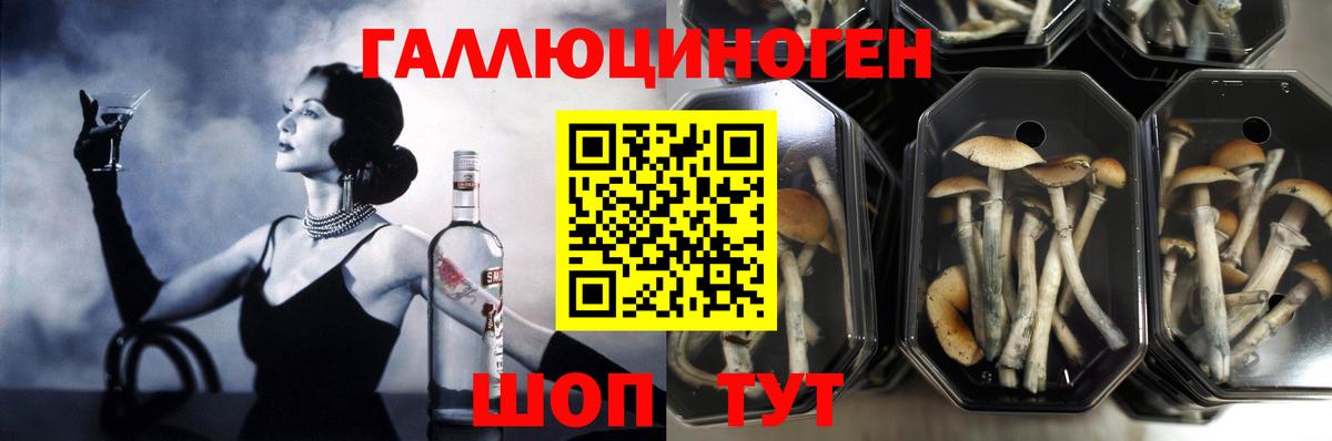 Галлюциногенные грибы Psilocybe  продажа наркотиков  Добрянка  Вход с VPN 